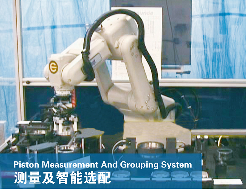 Measurement and intelligent sorting system